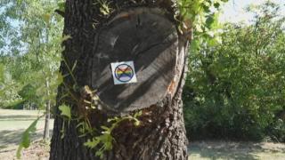 Родената като момче Петра изпадна в шок от тази гледка в парка: Страх ме е!