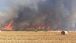 Последни новини за огнения ад в село Воден, дойде помощ срещу пожарите