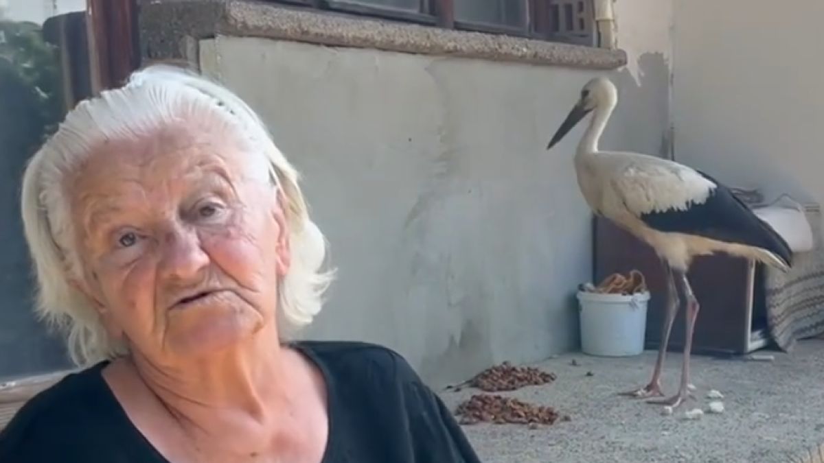 Всички говорят за баба Мария от Овощник, спасила щъркелче от сигурна смърт СНИМКИ