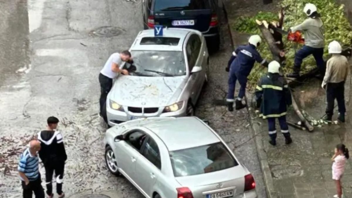 Изкоренени дървета, смачкани коли: Мощната буря направи огромни бели в страната СНИМКИ/ВИДЕО