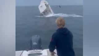 Кит изплува внезапно от водата и се вряза в лодка с мъж ВИДЕО