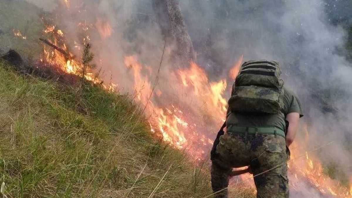 Гръцкият пожар влезе у нас, ето каква е ситуацията СНИМКИ