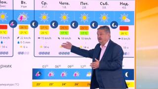 Проф. Рачев бие тревога: Убийствен мор поразява България в този ден от седмицата
