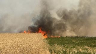 Кошмарът в Сакар няма край! Един пожар е угасен, но...