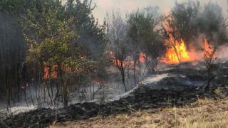Локализираха пожара край Панагюрище