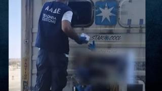 Гръцки митничари спипаха банани с "пълнеж" за 2,9 млн. евро ВИДЕО