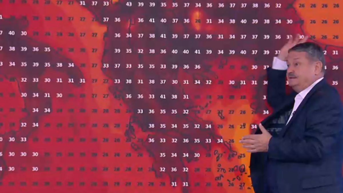 Проф. Рачев отчая българите: Кафявото нещо го показваме за пореден път, то става все по-кафяво