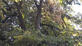 Страшна бомба със закъснител цъка на пъпа на Бургас СНИМКИ 