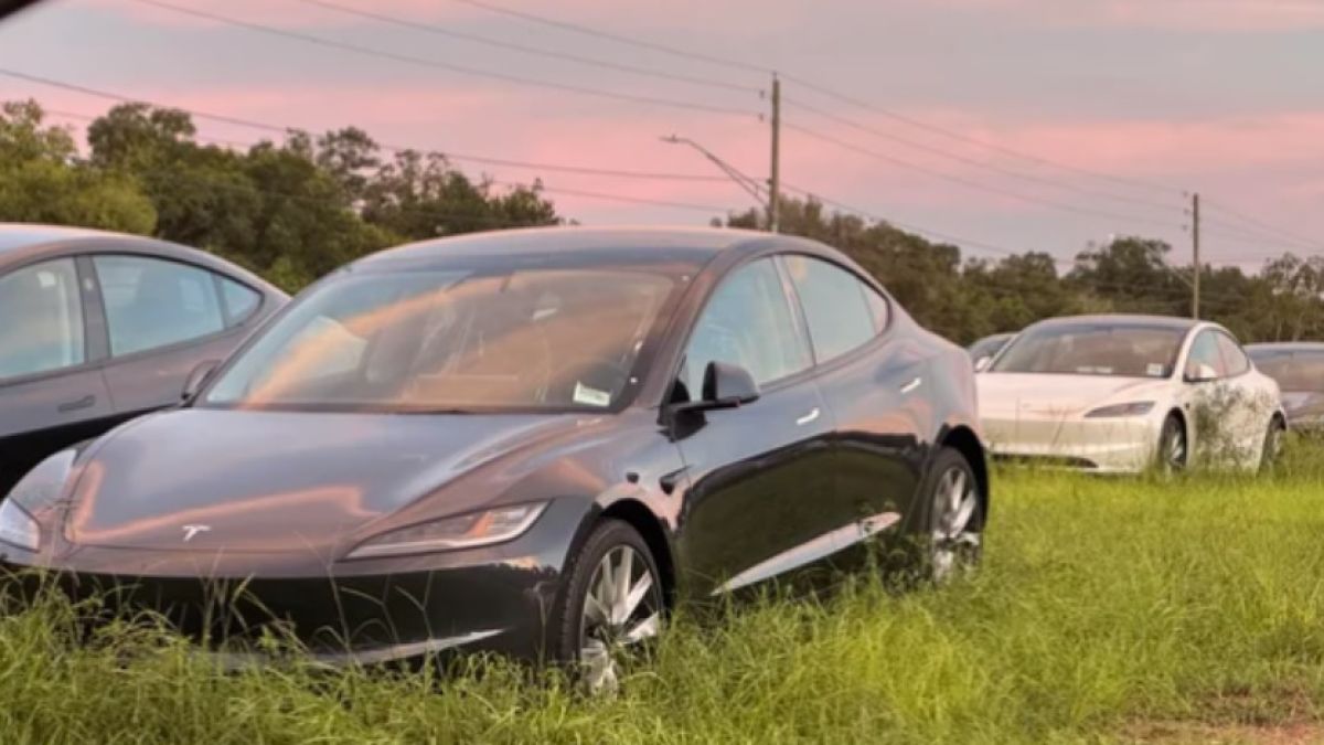 Захвърлиха в полето стотици чисто нови електромобили Tesla СНИМКИ