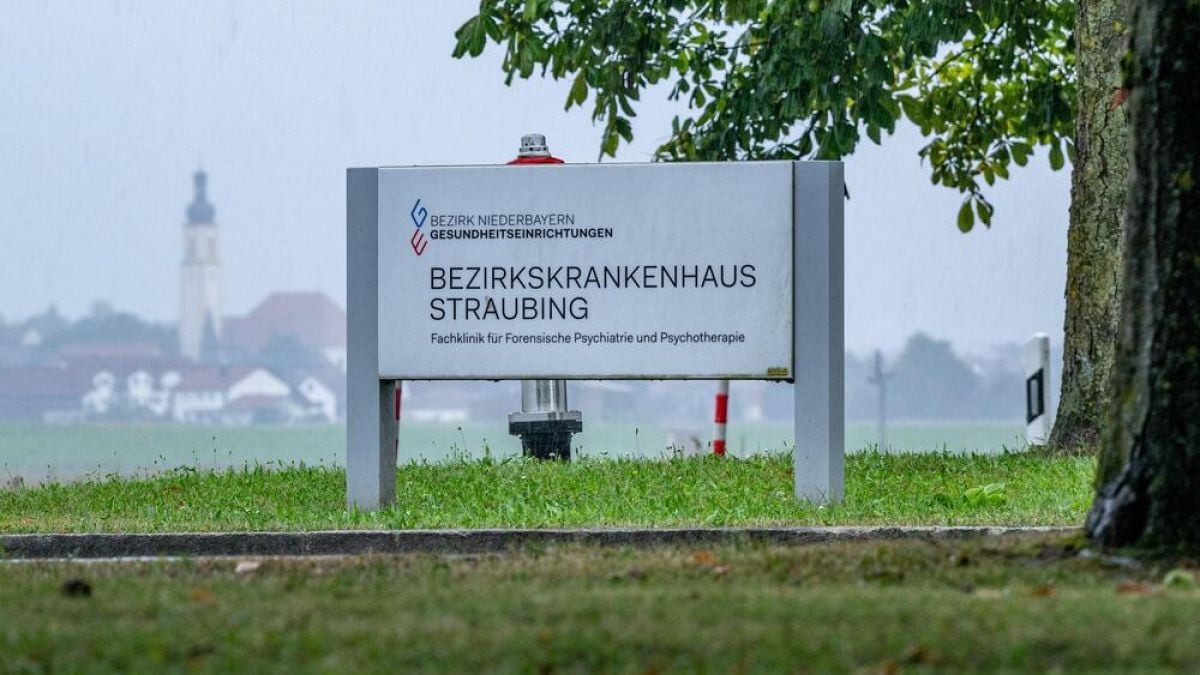 Паника в Германия! Опасни бандити от Балканите избягаха от психиатрия, обявиха извънредно положение