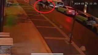 Шокиращи КАДРИ от убийството в Истанбул преди килърите да духнат към България 18+