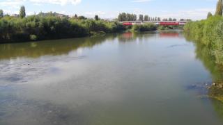 Дете влезе във водите на Марица и не излезе, издирват го