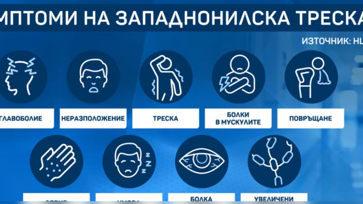 Д-р Николова: Александър Македонски е умрял от западнонилска треска