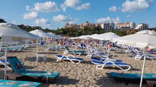 Голяма криза налегна родното Черноморие, а цените...