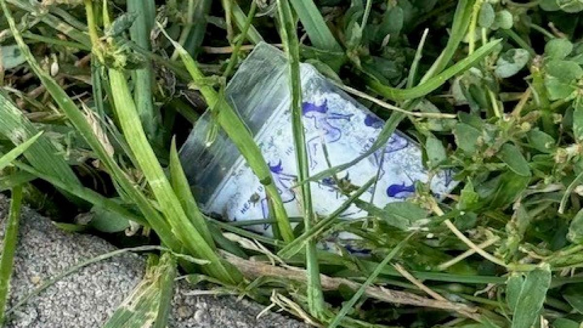 Полиция с акция "Дианабад", сгащи в крачка... СНИМКИ
