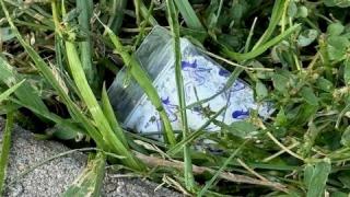 Полиция с акция "Дианабад", сгащи в крачка... СНИМКИ
