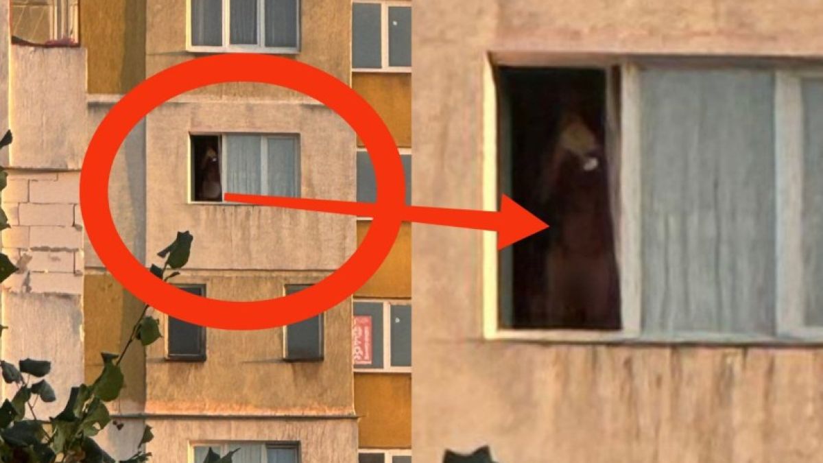 Дибидюс гол мъж свети с лазерче от прозорец в София, развява си п*ниса и... СНИМКА 18+