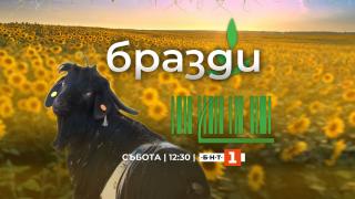 Зрителите ликуват, една легенда се завръща в БНТ СНИМКА