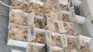 Ексклузивни разкрития за мощната акция на ГДБОП с куп закопчани, сковала Северното Черноморие