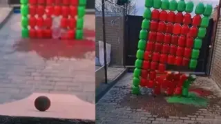 Нов хит: Вижте този нетрадиционен начин за облекчаване на стреса ВИДЕО