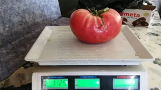 БГ пенсионери отгледаха домат-рекордьор, а ранчото им в с. Вълкосел е уау! СНИМКИ