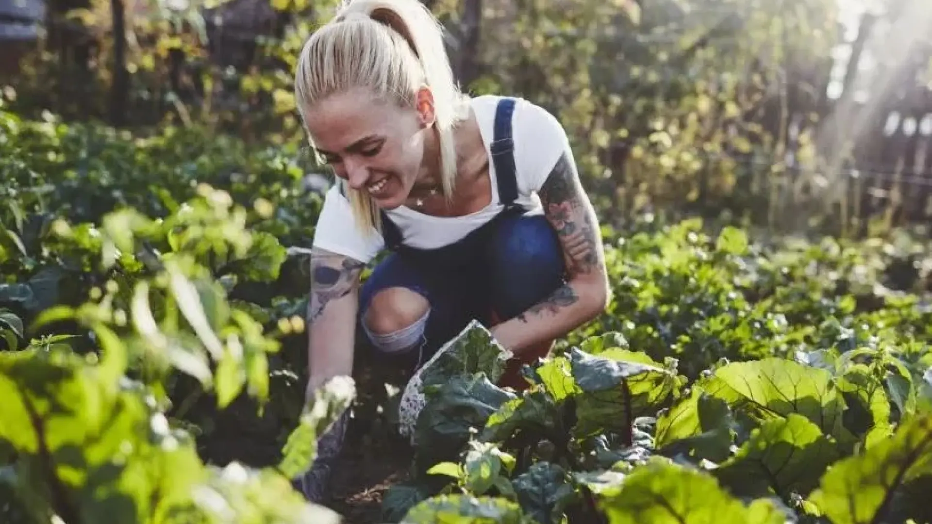 Секс история с блондинка в зеленчукова градина нагорещи всички 18+