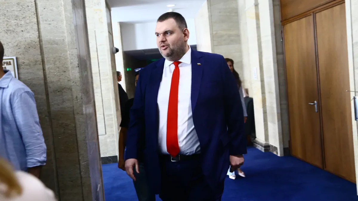 Пеевски отвя Доган в тази община и е трета сила 