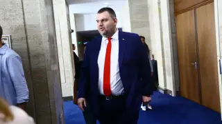 Пеевски отвя Доган в тази община и е трета сила 