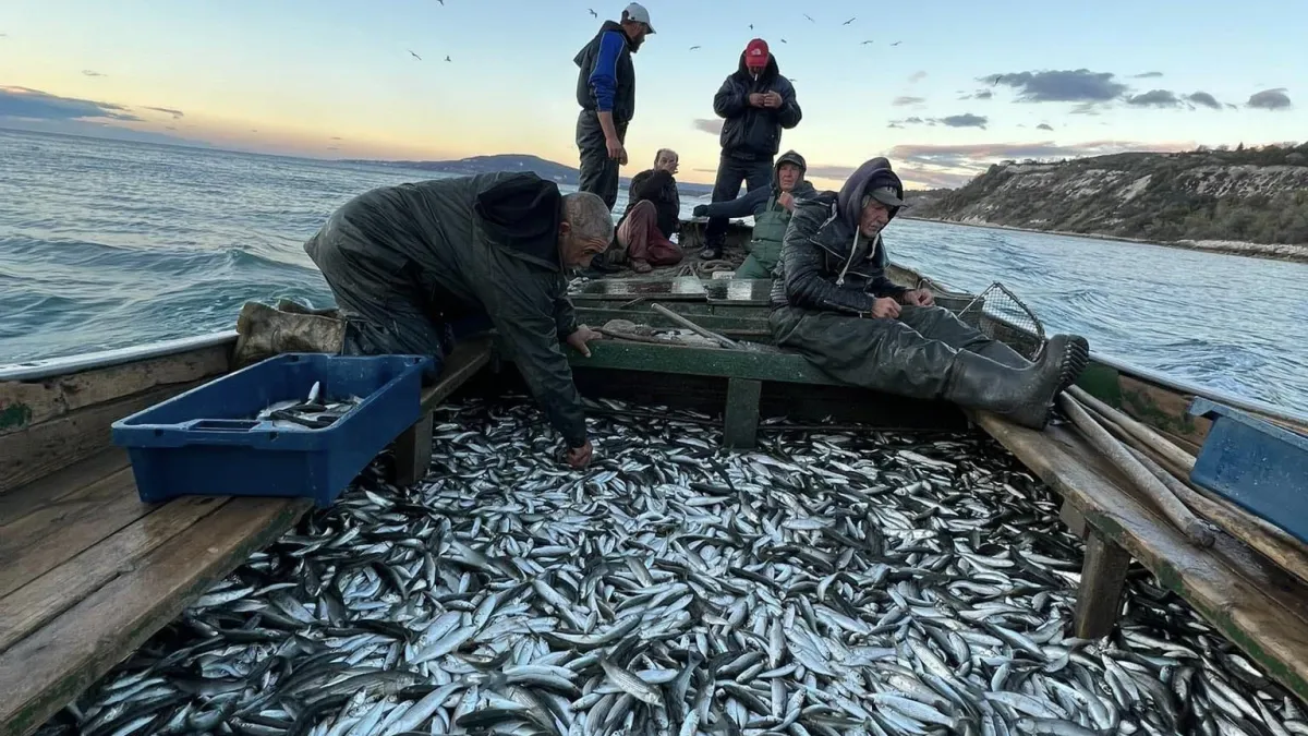 Рибарите потриват ръце, морето над Варна завря от тази любима риба 