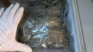 Закопчаха семейство дилъри в София: Полицията изнася тревата в чували, а мъжът се оказа... СНИМКИ