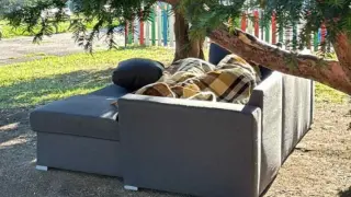 Романтика? Двама души си спретнаха як къмпинг в сърцето на квартал в София СНИМКИ