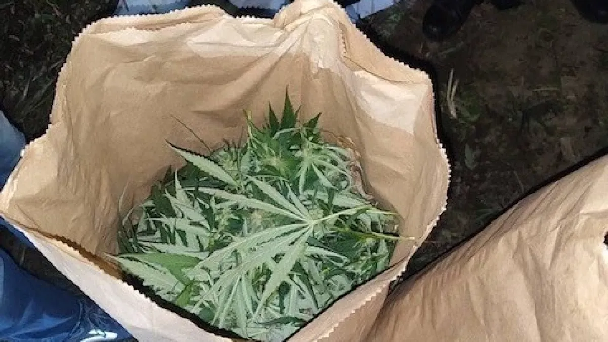 Наркоакция в София, не е за вярване къде откриха куп дрога СНИМКИ