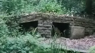 На това място загинаха 26 деца, но едно от тях се появи в страховито ВИДЕО
