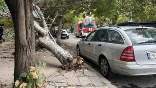 На косъм от трагедия в Пловдив, местните са ужасени СНИМКА