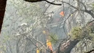 Разбра се кое е семейството, загинало в колата ковчег с български номера в Турция