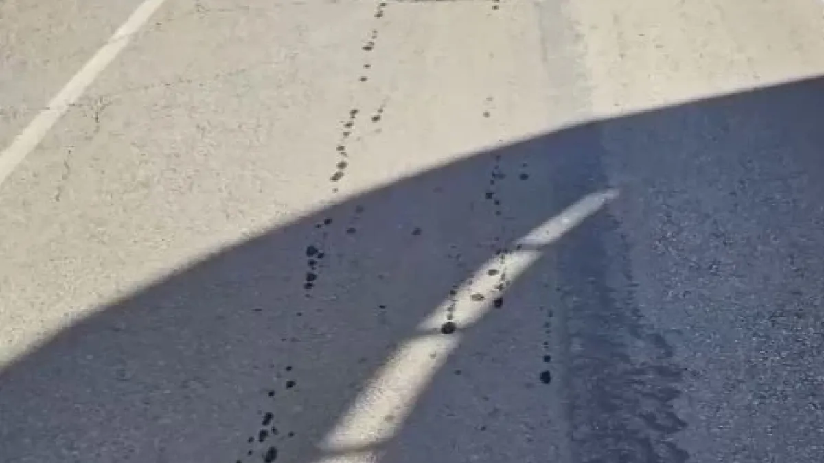 Без вина виновен! Скандален случай от БГ пътищата ВИДЕО