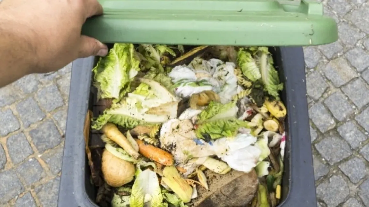 Имаме ли  хранителна съвест? Българите изхвърлят годишно по...