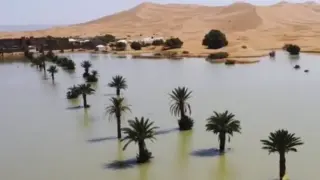 Шок! Наводнение в пустинята Сахара ВИДЕО