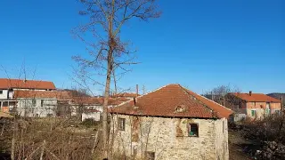 Канонада от псувни и полов акт с мъртвец! Гнусна история 18+ от БГ село