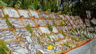 Бургаските рибари са доволни, сафридът влезе в залива