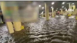 Влогър рискува живота си и засне брутално ВИДЕО на чудовището "Милтън" за пари