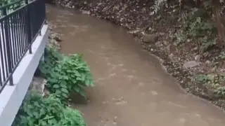 Кошмар в престижен столичен квартал! Вонята е непоносима, а в реката... ВИДЕО