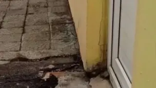 Такава издънка софиянци не помнят: ПП-ДБ-СС се изгаври с дечица СНИМКИ