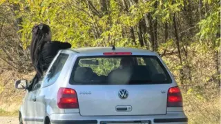Ще ходят да реват по гробищата! Дебилна СНИМКА на мадама втрещи България