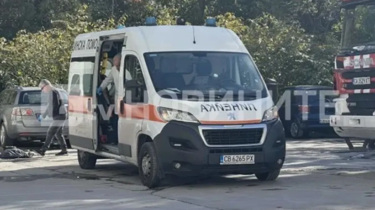 Спасиха мъж, паднал в река в столичния "Люлин" и стоял там цяла нощ СНИМКИ