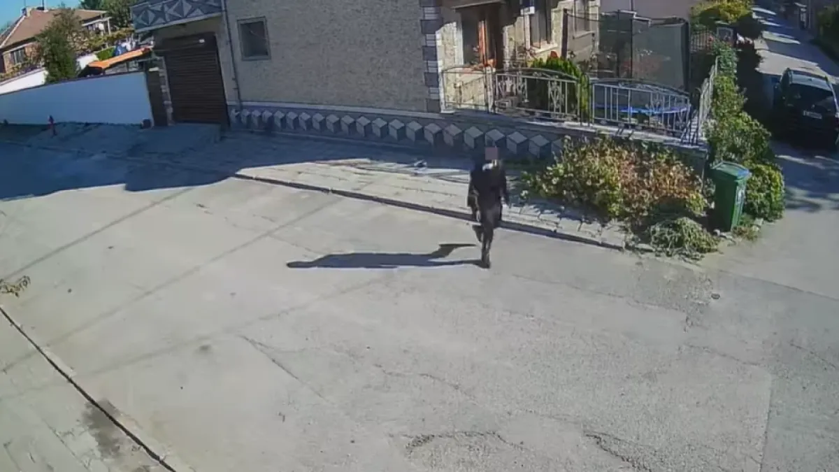 Малкият изрод си го получи, след като уби беззащитно коте с ритници в Димитровград
