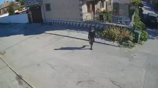 Малкият изрод си го получи, след като уби беззащитно коте с ритници в Димитровград