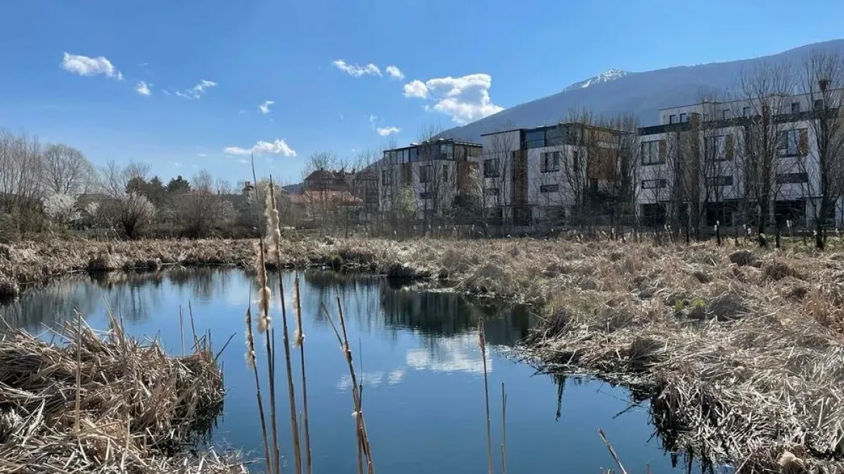 Този зелен рай се намира в София, но трябват много промени