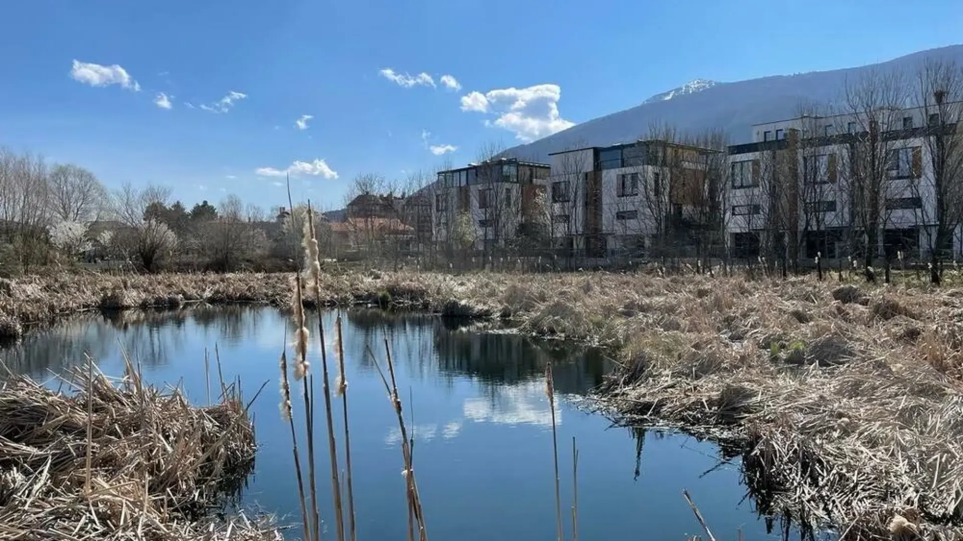 Този зелен рай се намира в София, но трябват много промени