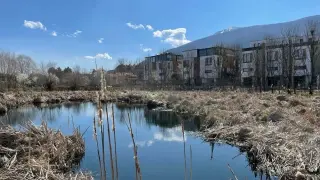 Този зелен рай се намира в София, но трябват много промени
